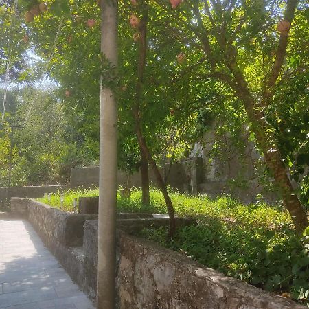 Apartman Arbanas ドゥブロブニク エクステリア 写真